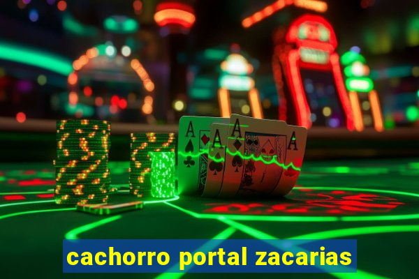 cachorro portal zacarias